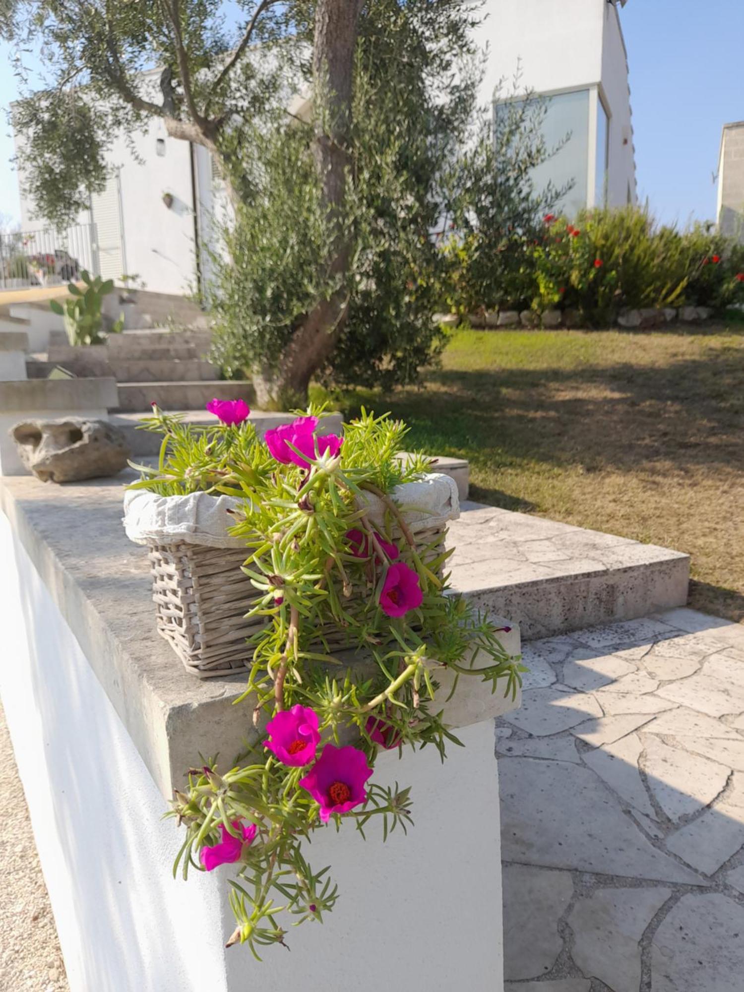 Tenuta Valle Dell Idro Otranto Con Piscina Casamassella Dış mekan fotoğraf